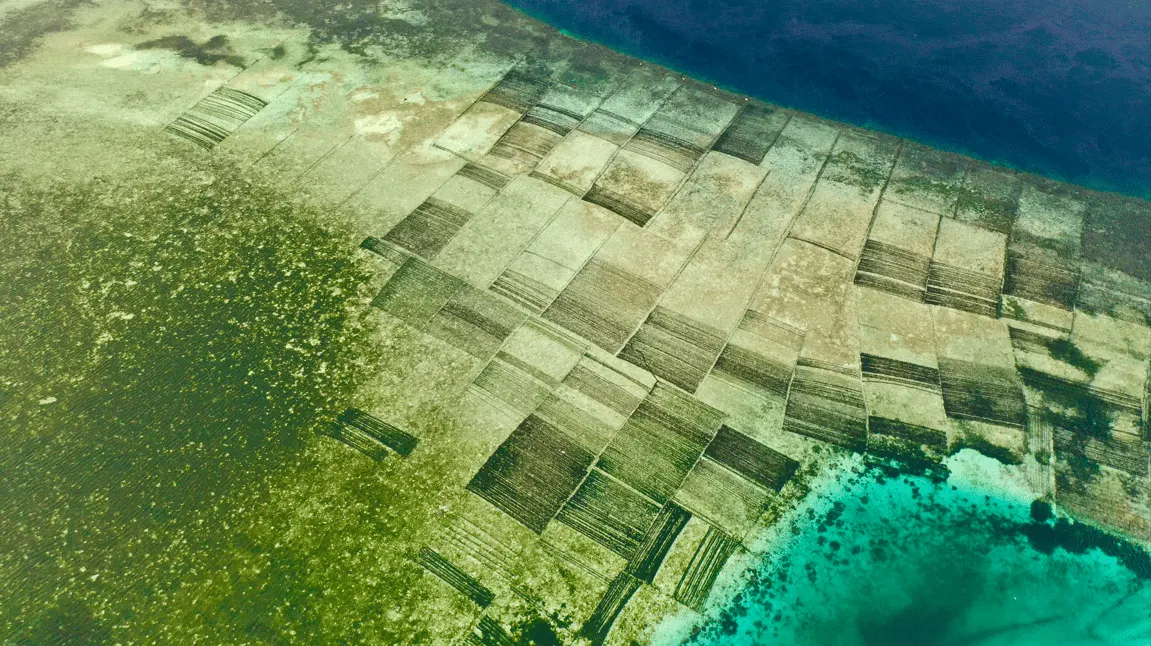 Sopi Traditional Distillery – Pura Island