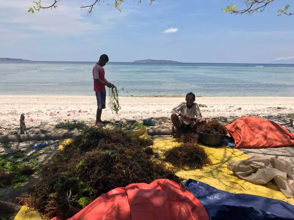 Uma Pura Traditional Weaving Village 3