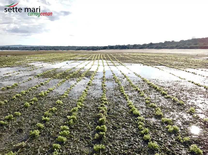 Uma Pura Traditional Weaving Village 4